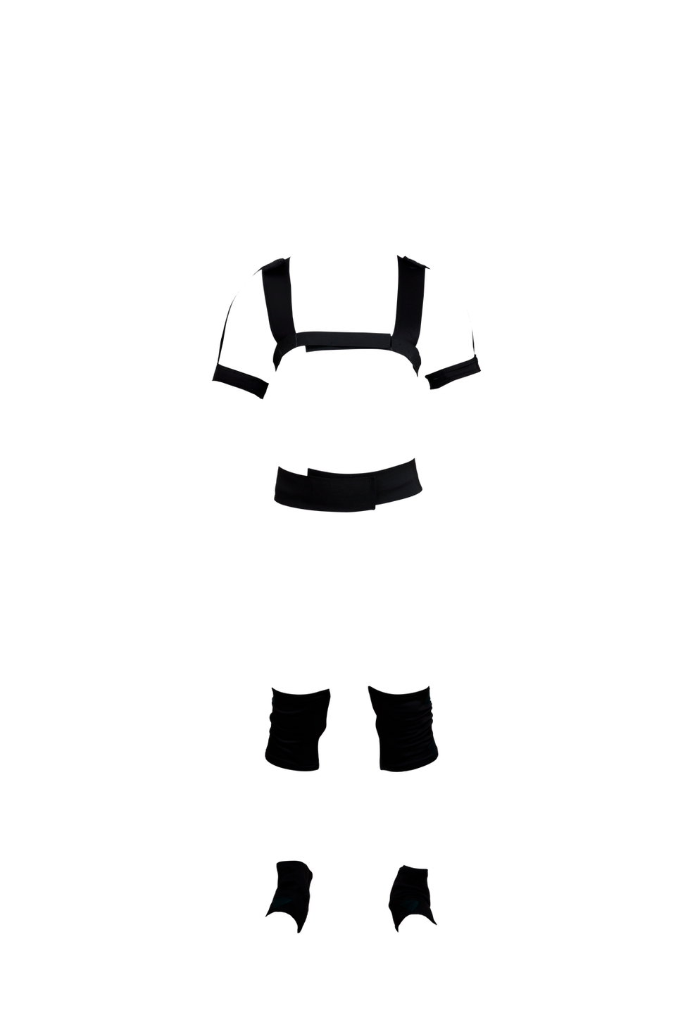 Shockwave FBT System